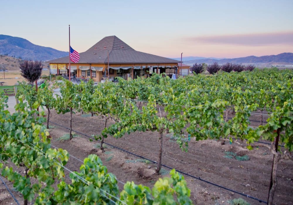 View of Triassic Vineyard's tasting room from the vineyard.